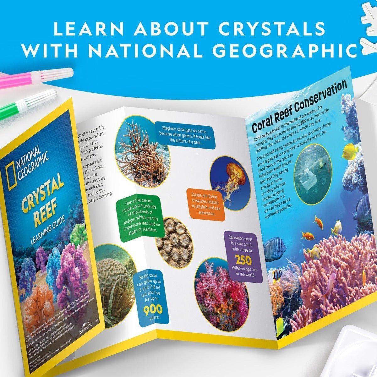 National Geographic Crystal Reef Coral Growing Lab RTCRYSHABINT - Colorland Toys