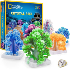 National Geographic Crystal Reef Coral Growing Lab RTCRYSHABINT - Colorland Toys