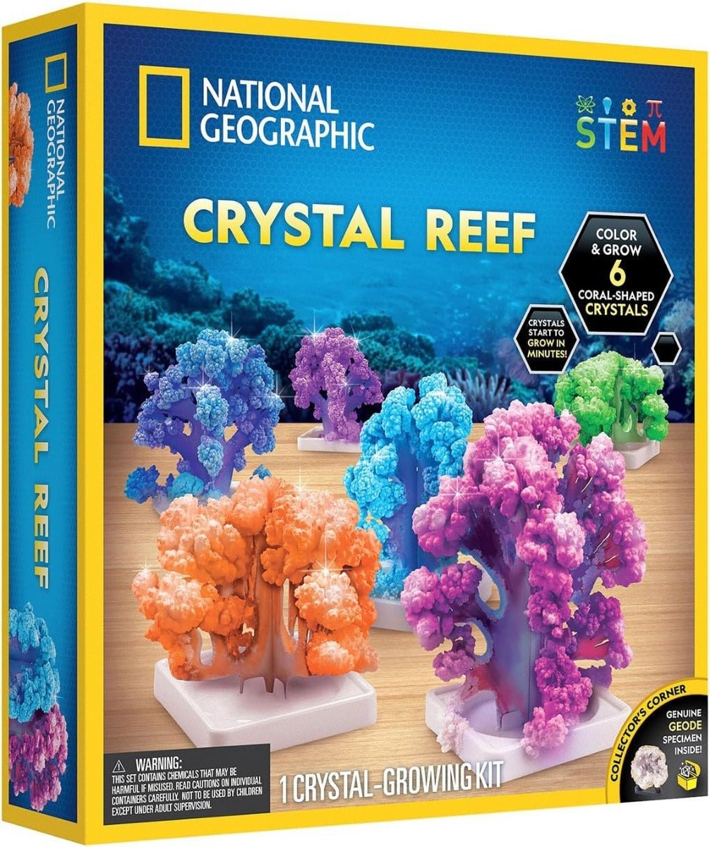 National Geographic Crystal Reef Coral Growing Lab RTCRYSHABINT - Colorland Toys