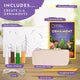 National Geographic Ornament Air - Dry Clay Kit - Colorland Toys
