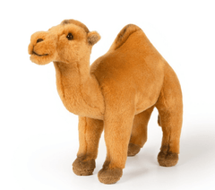 National Geographic Premium Camel 770777F - Colorland Toys