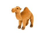 National Geographic Premium Camel 770777F - Colorland Toys