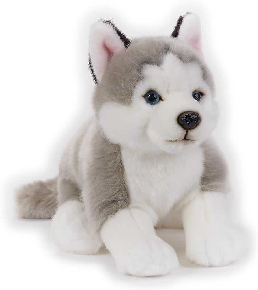 National Geographic Premium husky Plush 770684 - Colorland Toys