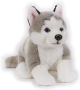 National Geographic Premium husky Plush 770684 - Colorland Toys