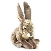 National Geographic Premium Jack Rabbit 770815 - Colorland Toys