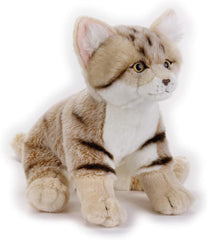 National Geographic Premium Sand Cat 770671 - Colorland Toys