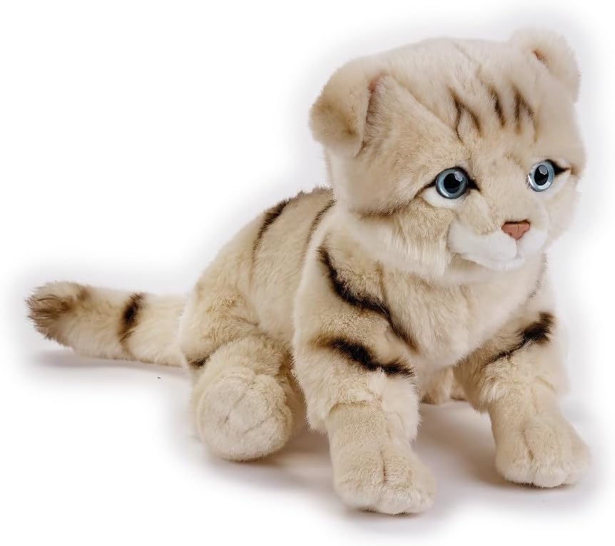 National Geographic Premium Scottish Cat 770673 - Colorland Toys