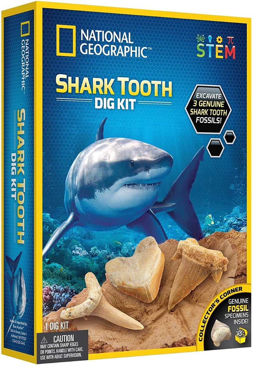 National Geographic Shark Tooth Dig Kit - Colorland Toys