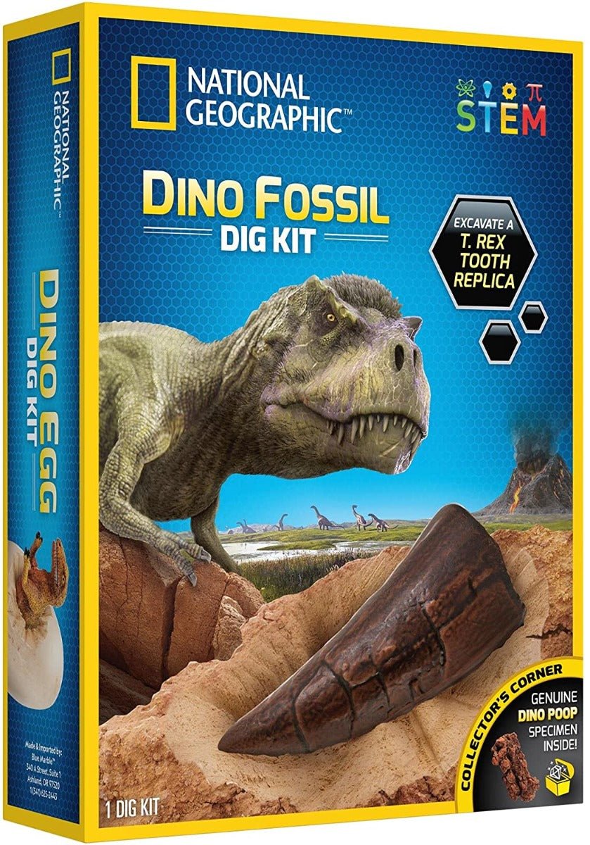 National Geograpic Dino Fossil Dig Kit - Colorland Toys