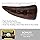 National Geograpic Dino Fossil Dig Kit RTNGDINO2INT - Colorland Toys