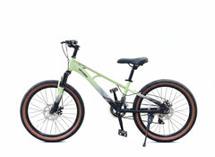 Qitong Bicycle 22 Inch Green TN24Q66 - Colorland Toys