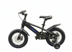 Raccoon Bicycle 14 Inch Black TN25R93 - Colorland Toys