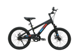 Raccoon Bicycle 20 Inch Black TN24R67 20IN - Colorland Toys