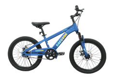 Raccoon Bicycle 20 Inch Blue TN24R67 20IN - Colorland Toys