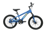 Raccoon Bicycle 22 Inch Blue TN24R67 22IN - Colorland Toys