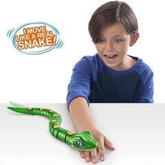 Robo Alive Slithering Snake - Colorland Toys