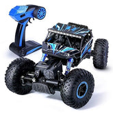 Rock Climb Amphibious RC Car 1:10 Scale ZG - D10001 - Colorland Toys