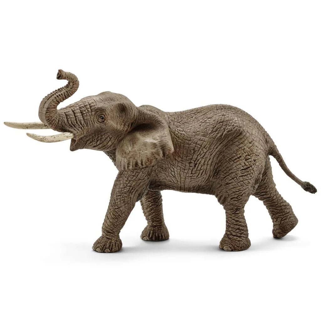 Schleich African Elephant Male 14762 - Colorland Toys