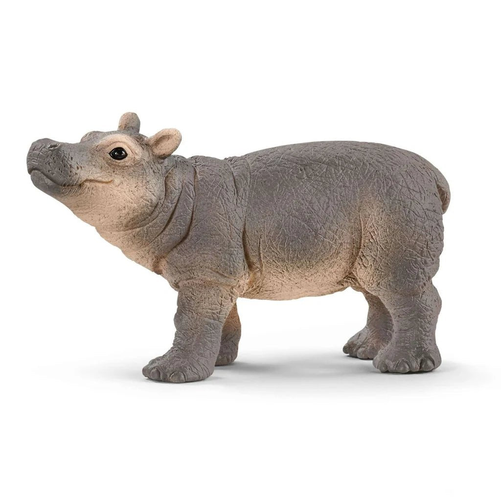 Schleich Baby Hippopotamus 14831 - Colorland Toys
