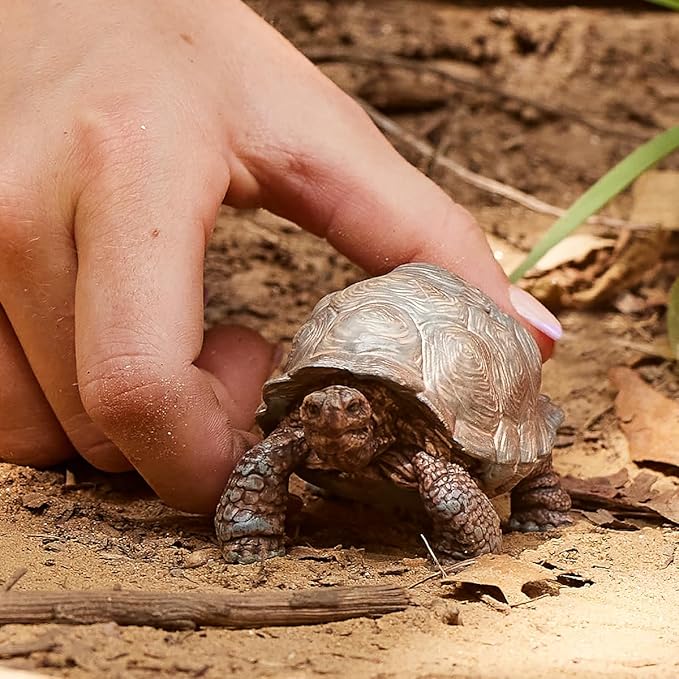 Schleich Giant Tortoise 14824 - Colorland Toys