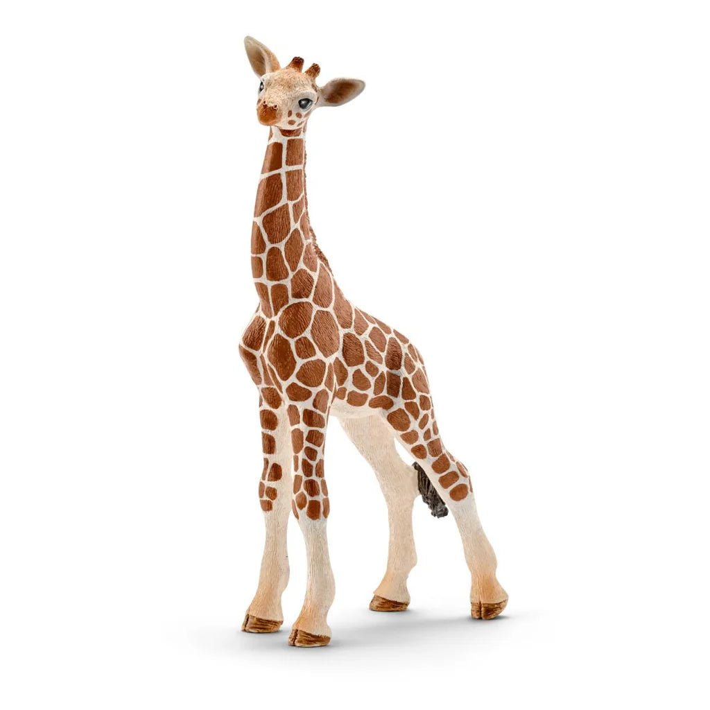 Schleich Giraffe Calf 14751 - Colorland Toys