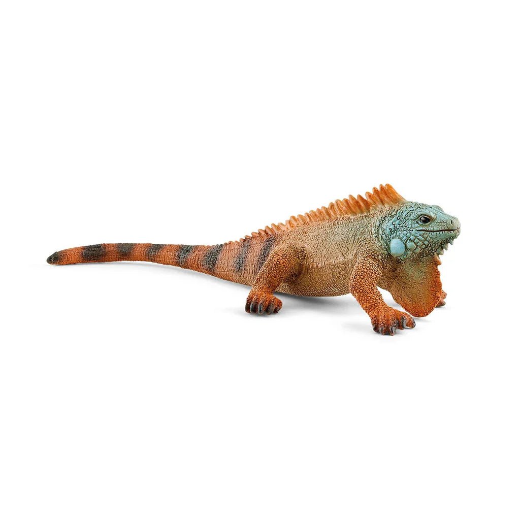 Schleich Iguana 14854 - Colorland Toys