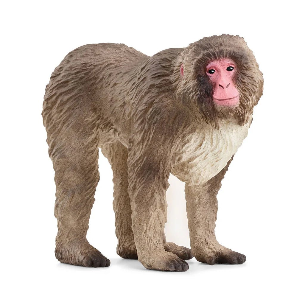 Schleich Japanese Macaque 14871 - Colorland Toys