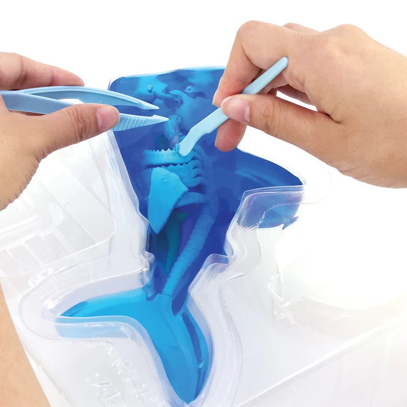 Slimy Dissect It in Giftbox - Shark with One Refill 38081 - Colorland Toys