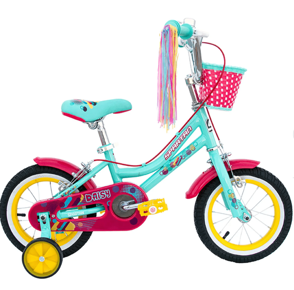 Spartan Daisy Teal 12inch SPGT - 12 - Colorland Toys