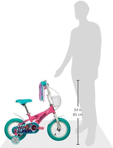 Spartan Paw Patrol Skye Bicycle 12inch SP - 3203 - Colorland Toys