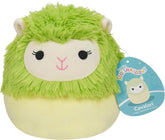Squishmallow Cavaleri the Green Alpaca 7.5inches SQCR05374 - Colorland Toys