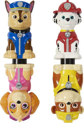 PAW Patrol SwimWays Paw Patrol Learn to Dive Swim Dive Sticks 6060383 - Colorland Toys