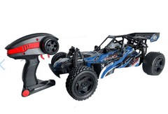 Syrcar Storm RC Car 1:8 Scale 666 - 836A - Colorland Toys