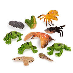 Terra 10-Pcs Metamorphosis Animals 4-8cm AN2891Z - Colorland Toys