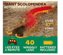 Terra Remote Controlled Giant Scolopendra AN2920Z - Colorland Toys
