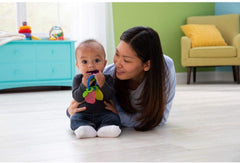 The First Years Fruity Teether LC23025 - Colorland Toys