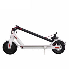 Top Gear Electric Scooter White 36V TG 900 - Colorland Toys