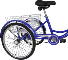 Tricycle CL 24 Basket Blue - Colorland Toys