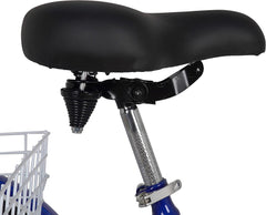 Tricycle CL 24 Basket Blue - Colorland Toys