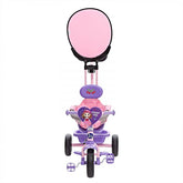 Tricycle for Kids Pink Purple DX - 455 - Colorland Toys