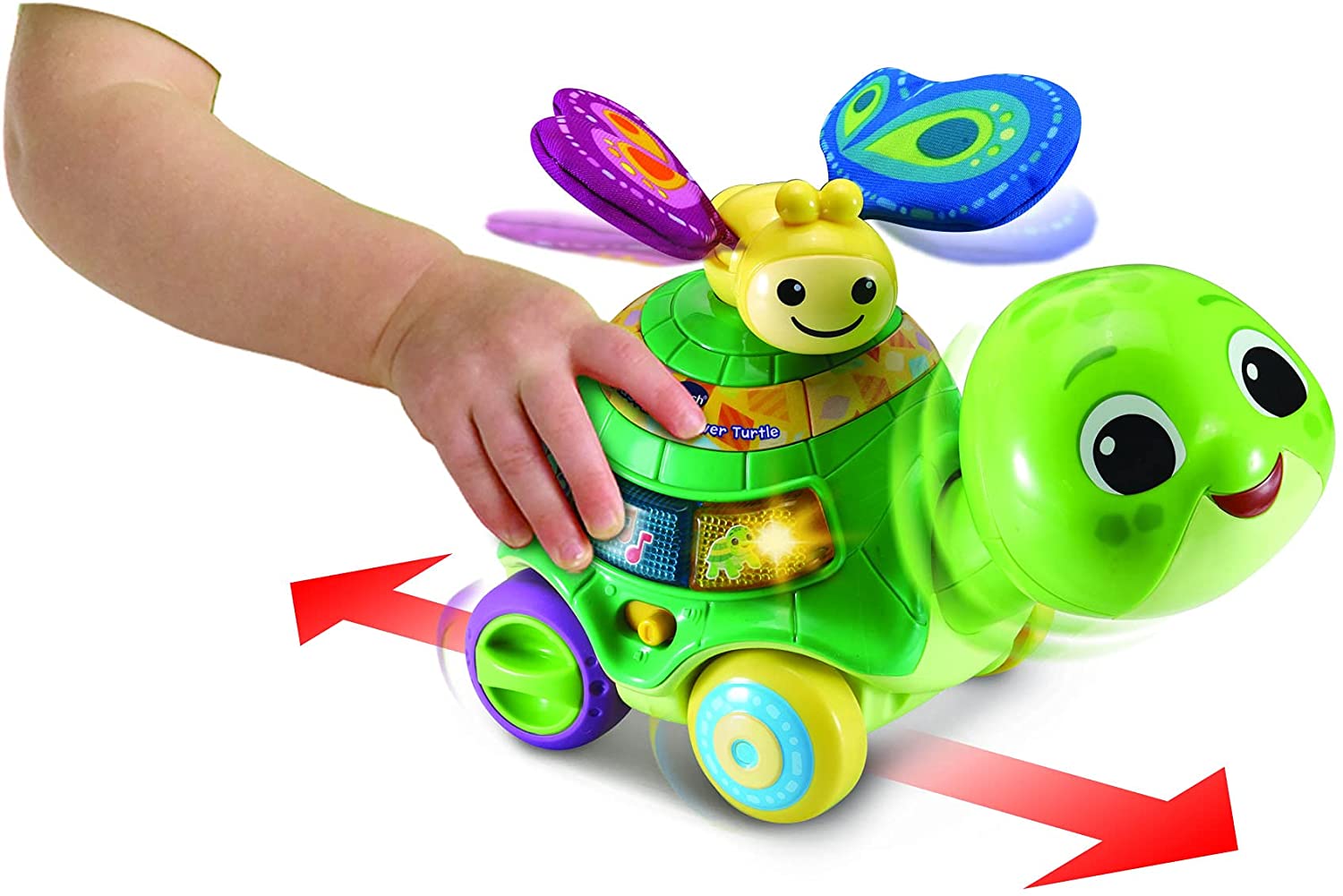 VTech Baby 2 - in - 1 Push & Discover Turtle 80 - 547603 - Colorland Toys
