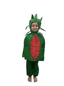 Watermelon Costume 217 6 - 7 - Colorland Toys