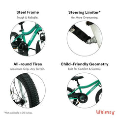 Whimsy Classic Bicycle 16 Inch Green WM16CL - GN - Colorland Toys