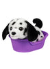 Little Live Pets MRR S2 Puppy Mini - Colorland Toys