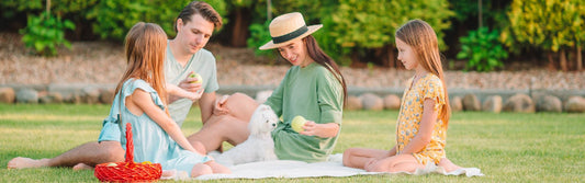 Tips for Managing Screen Time and Encouraging Healthy Activities This Summer - Colorland Toys