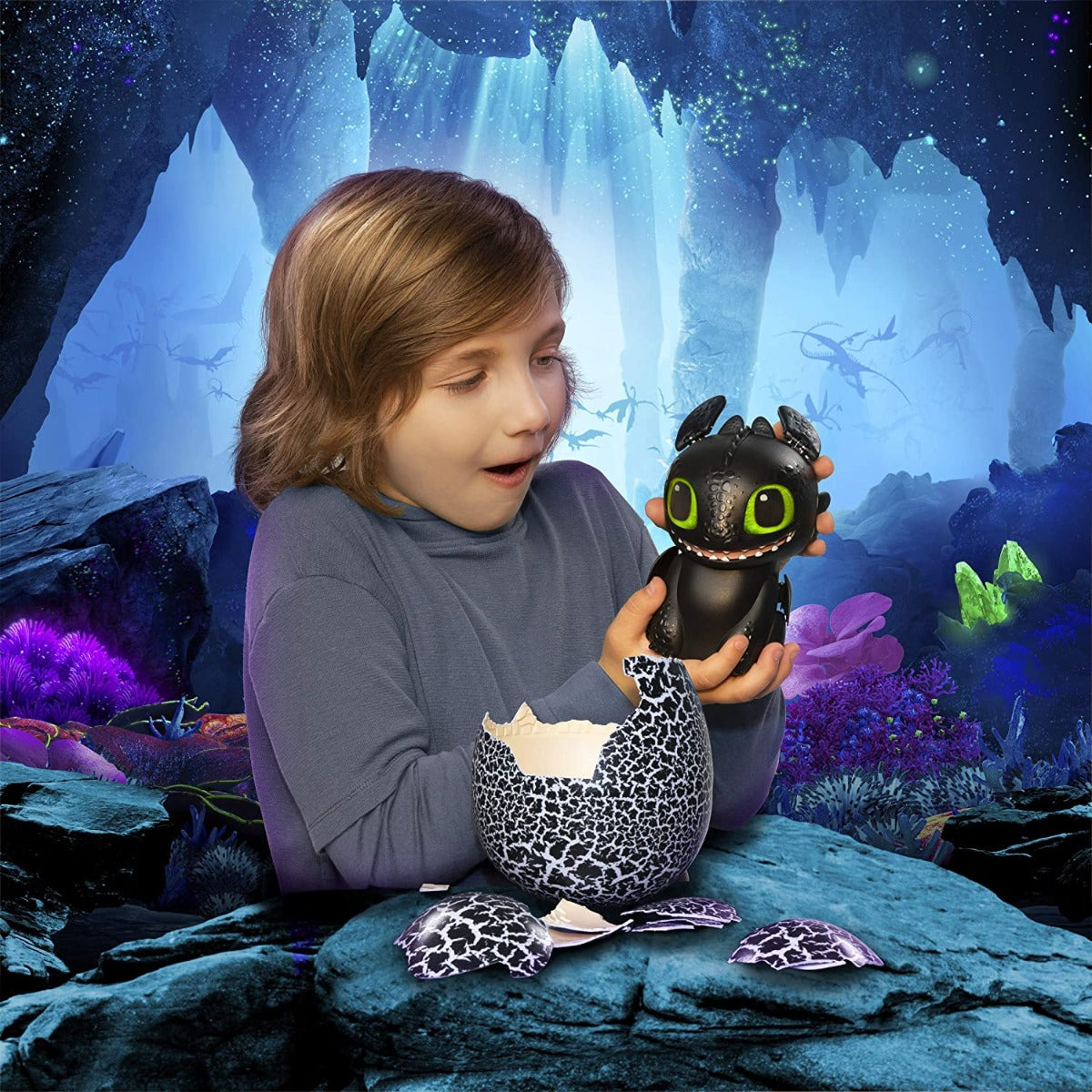 DreamWorks Dragons The Hidden World Hatching Toothless 6046183 - Colorland Toys