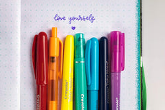 Crayola Take Note Washable Gel Pens 14pk CY58-6414