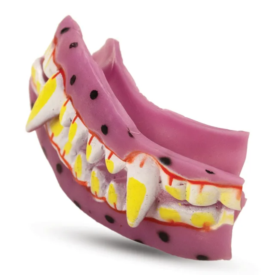 Halloween Horror Vampire Fake Teeth — image 2