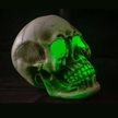 Spooky Halloween Green Light-Up Giant Skull - Halloween Decoration