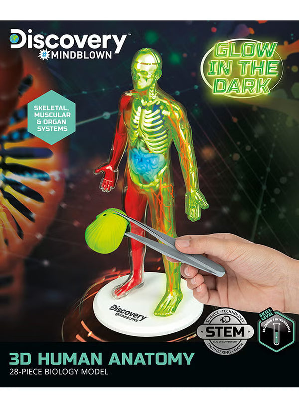 Discovery Mindblown - 3D Human Anatomy Kit